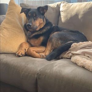 Meet your Posher, Grace